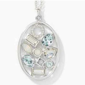 Touchstone Crystal by Swarovski CLUSTERED necklace on slide chain